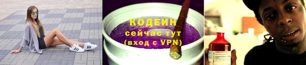 гидра Няндома