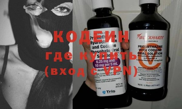 гидра Няндома