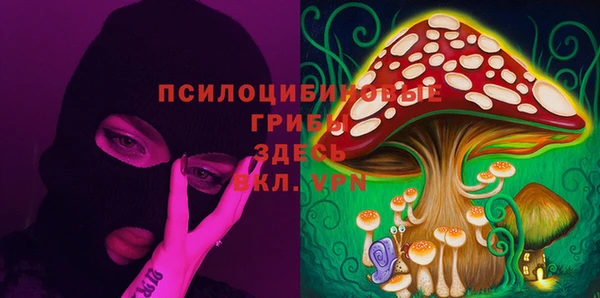 твердый Балабаново