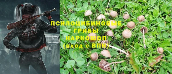 амф Нягань