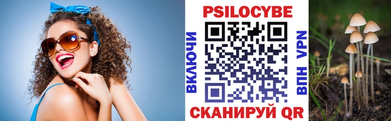 Псилоцибиновые грибы прущие грибы  даркнет сайт  Строитель 